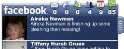 Facebook on your desktop with Facebook(er)